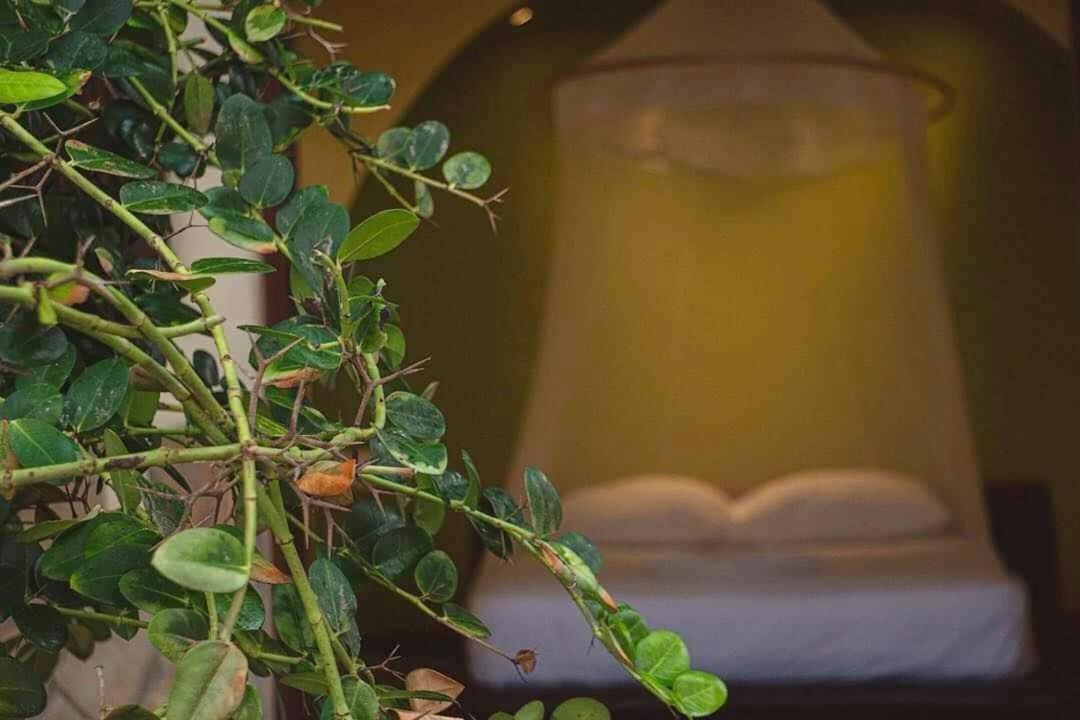 Cabanas Punta Placer San Agustinillo Zewnętrze zdjęcie